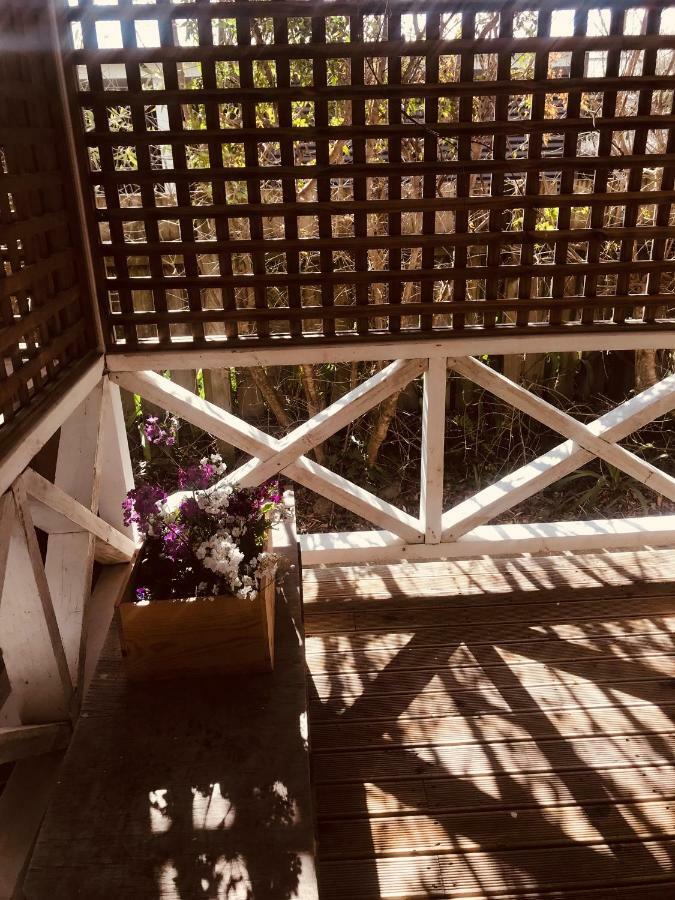 מרטינבורו Prodigal Daughter Gourmet Lodge מראה חיצוני תמונה